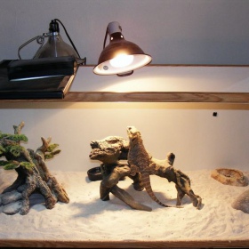 Trixie Basking Spot-Lamp 35W (heating bulb)